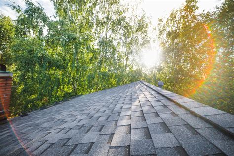 Everything You Need To Know About Which is More Energy Efficient Metal or Shingles Roof Maintenance