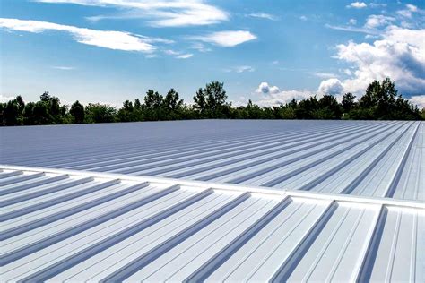 Transform Your Home With Metal Roof Coatings Logo: Expert Tips